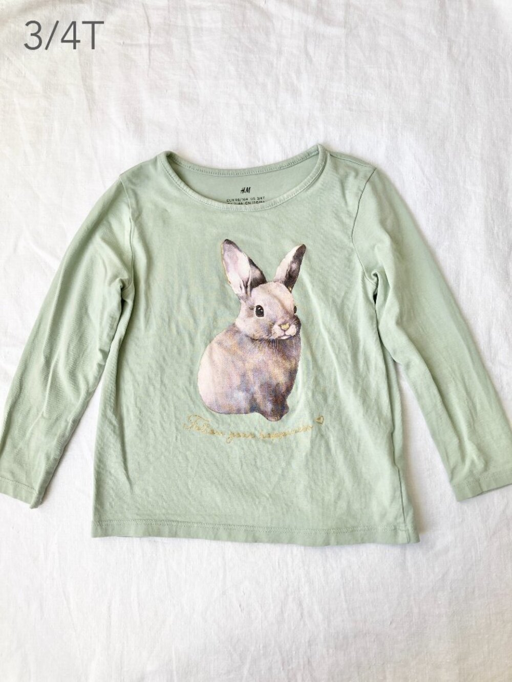 🪴5/$30 H&M 3/4T Toddler Mint Green Bunny Rabbit Long Sleeve Top Fall Casual